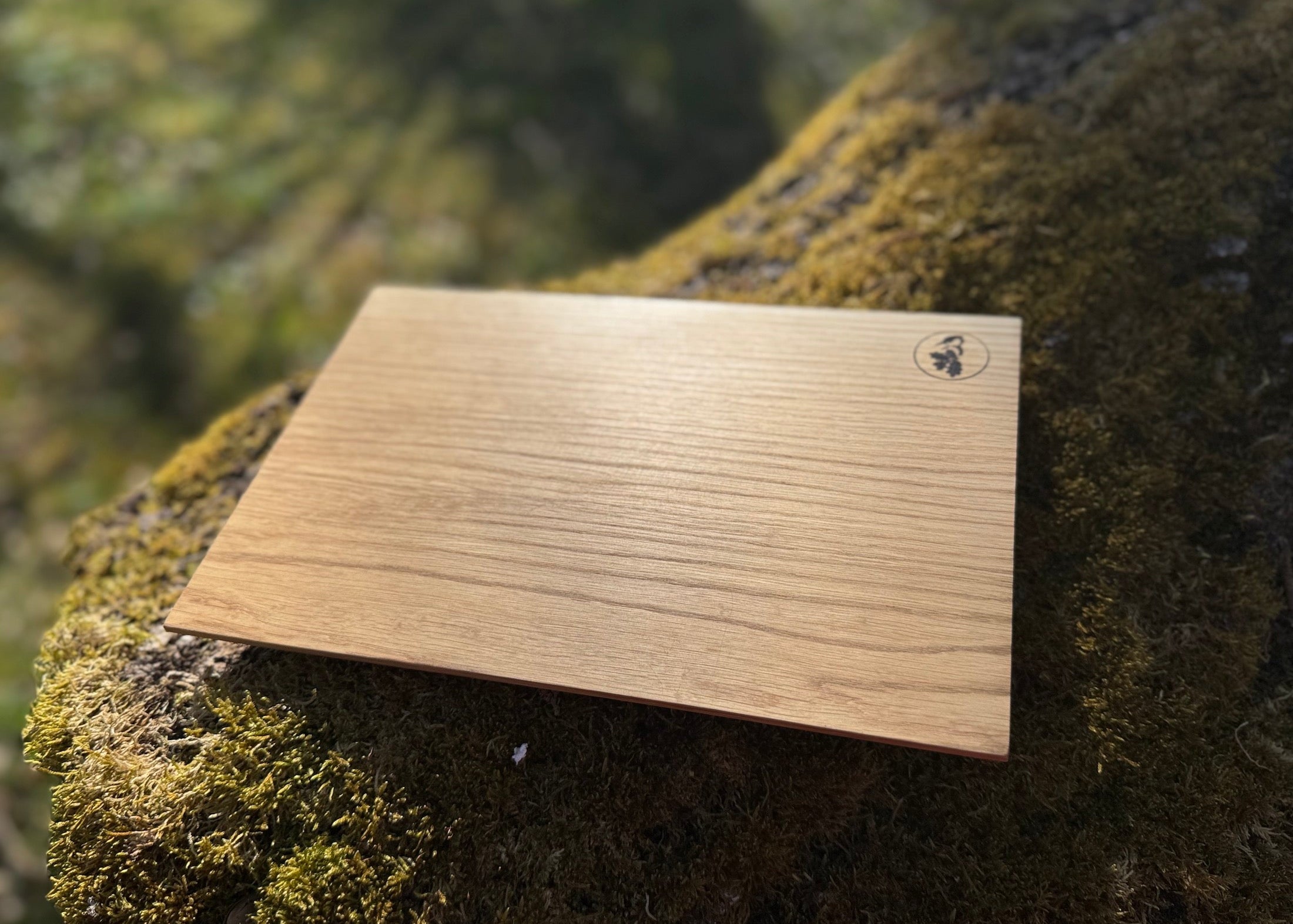 Eichenbrett auf einer alten bemoosten Eiche