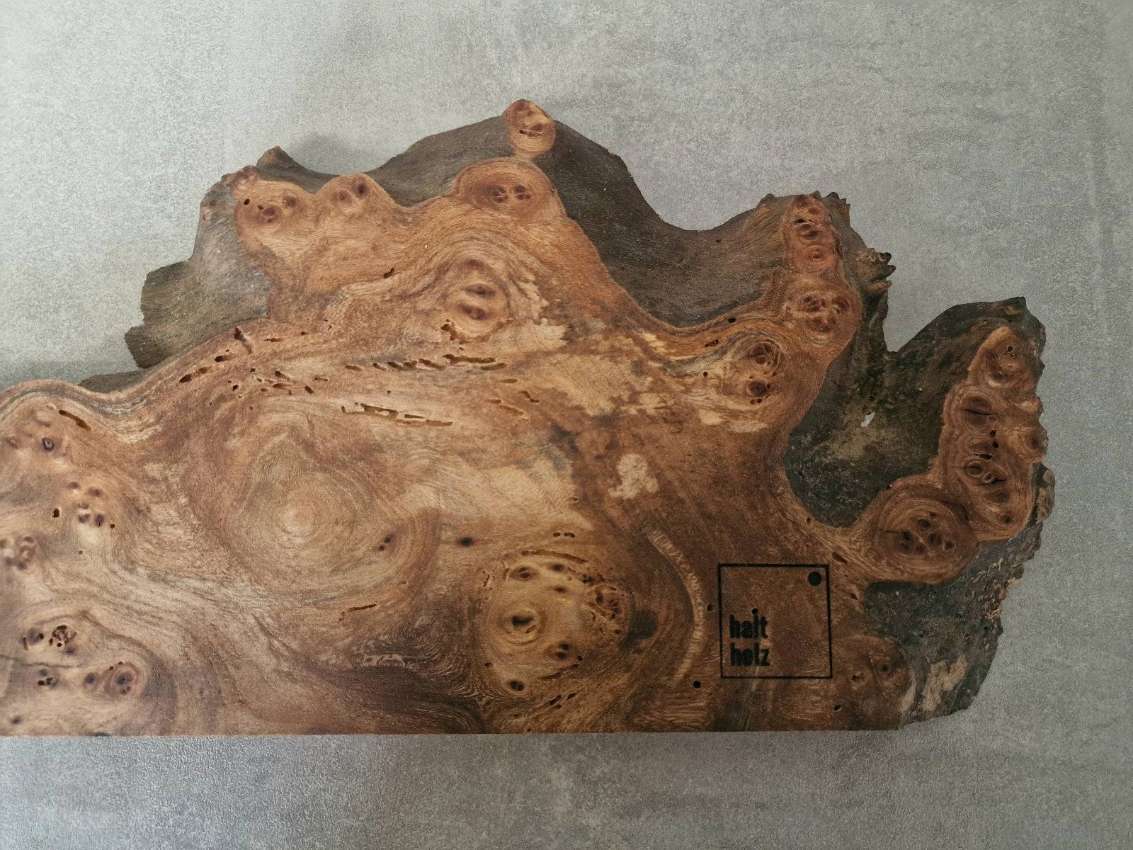 Maserulme, Rüster in Nahaufnahme