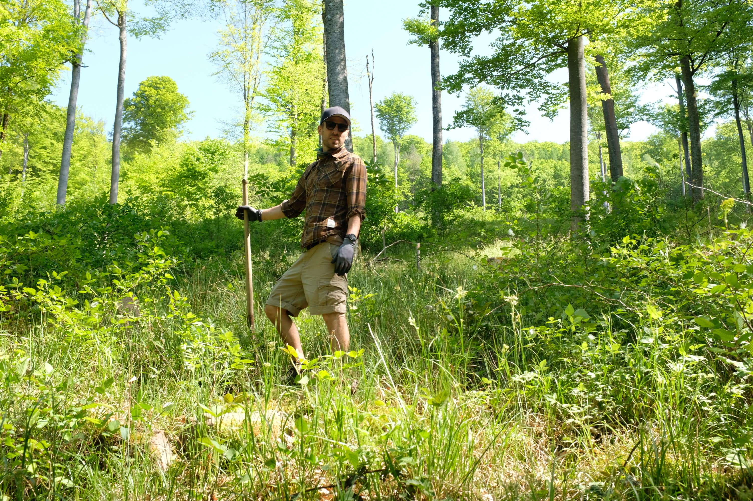 Förster im Spessart Wald bei den Eichen Jungbäumen.