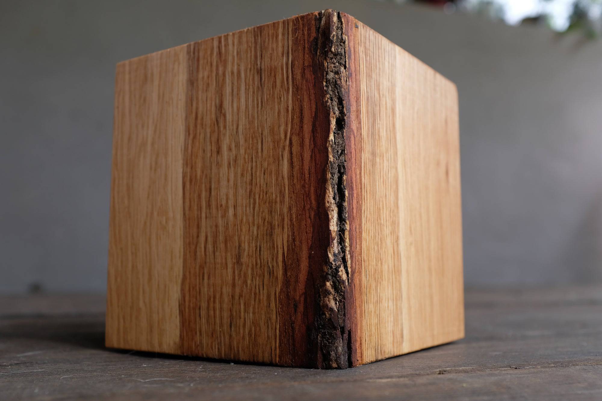 Eiche Würfel mit Baumkante und Rinde