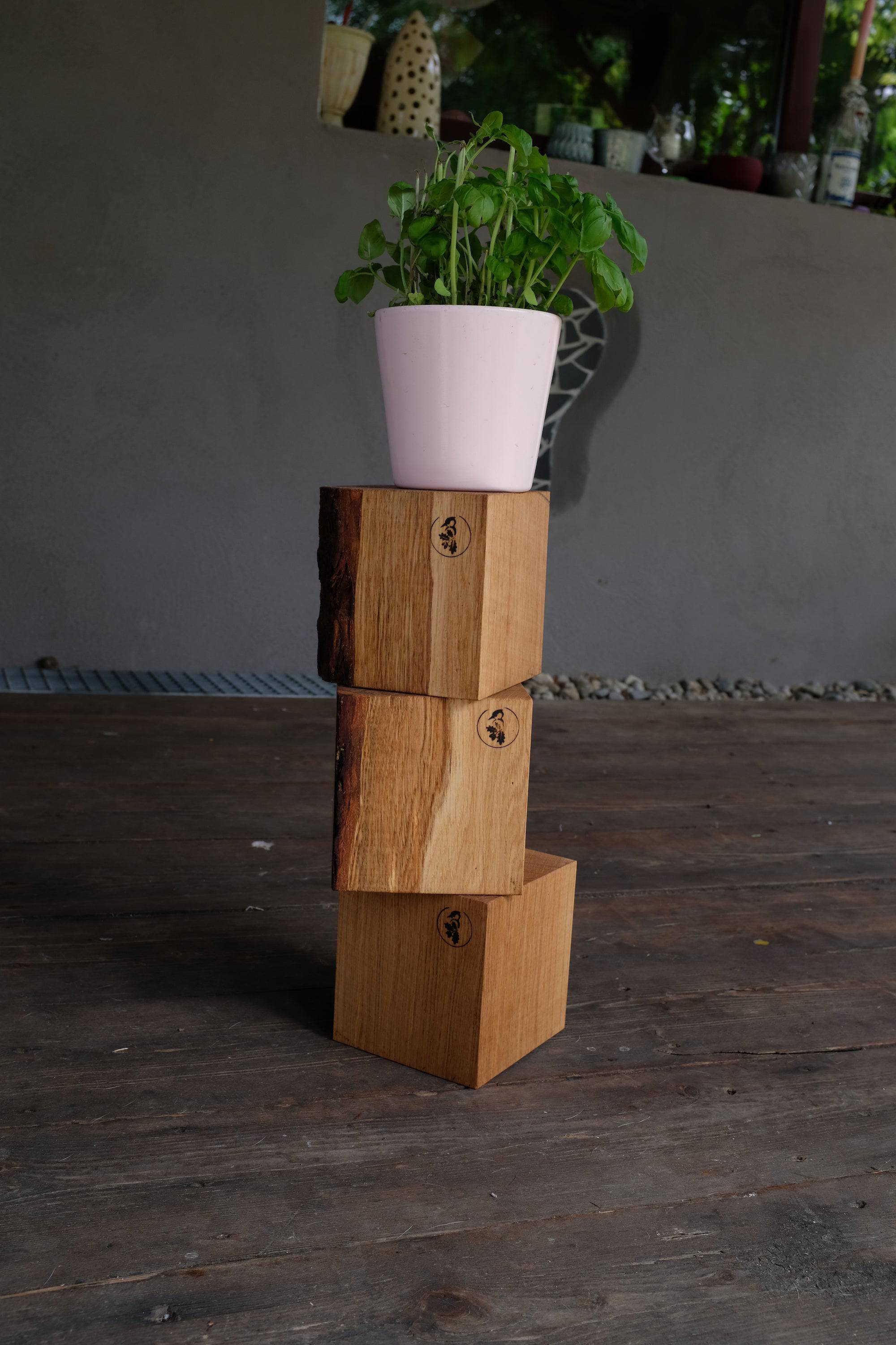 Drei Eichenwürfel übereinander gestapelt. Auf den Klötzen steht ein Topf mit Basilikum.