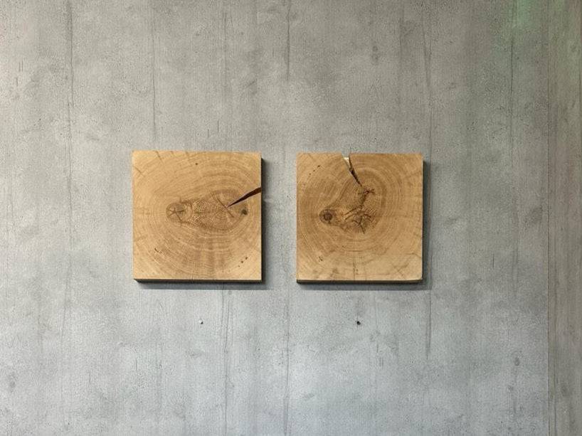 2er Set Wandbild aus massiver Eiche Hirnholzscheibe mit Jahresringen an einer Betonwand