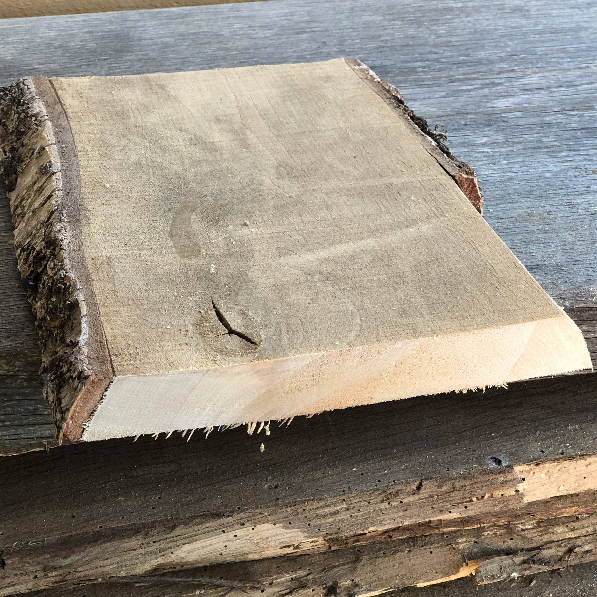 Schneidebrett Birke, 2 Baumkanten, Einzelstück, Nr. 65 - Spessartbrett