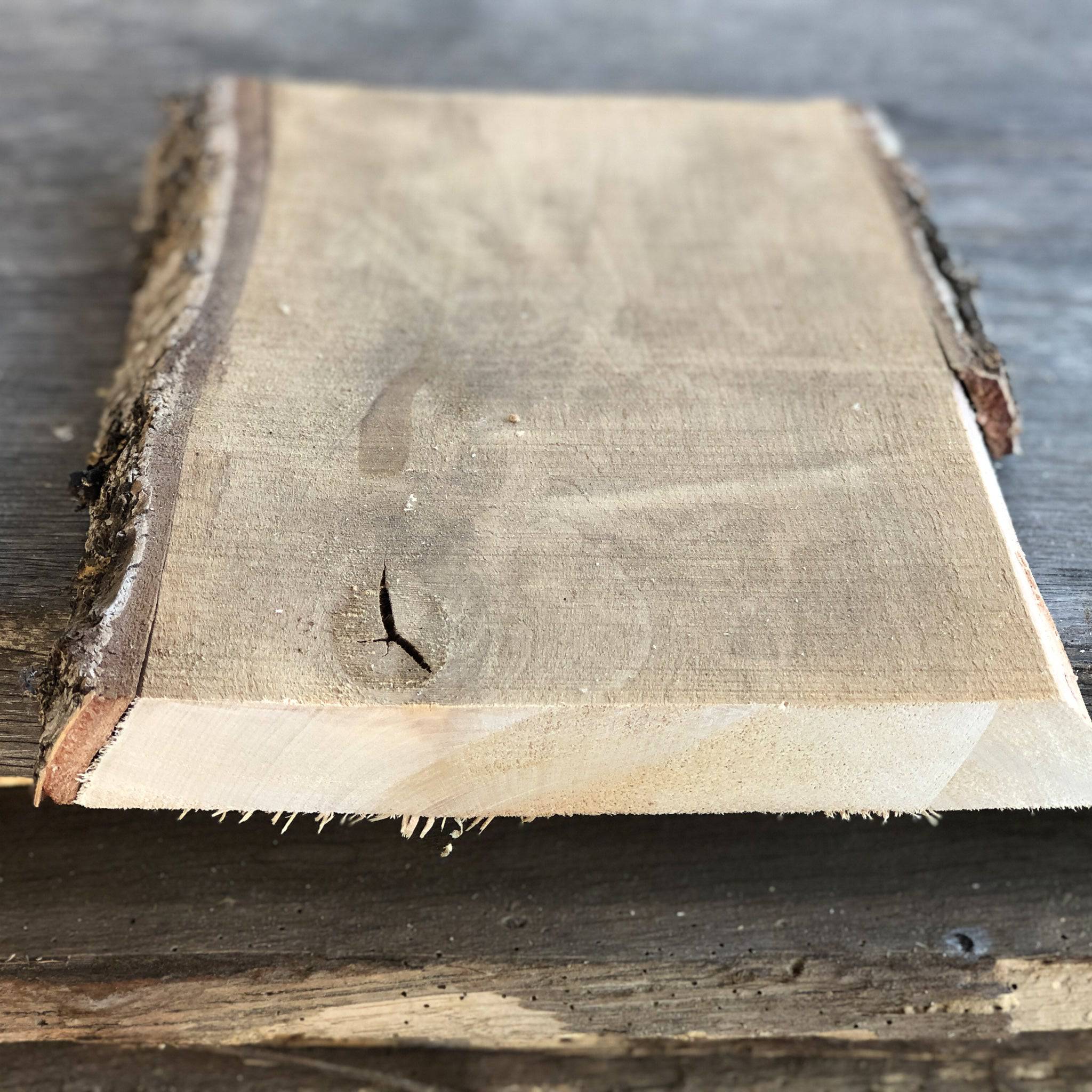 Schneidebrett Birke, 2 Baumkanten, Einzelstück, Nr. 65 - Spessartbrett