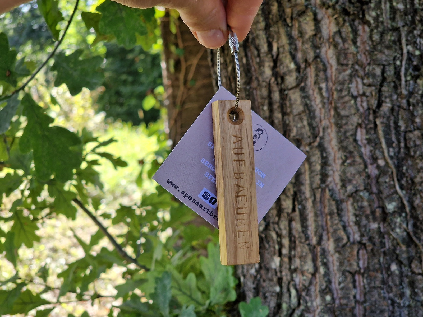 Eiche Schlüsselanhänger von einer Baumpatenschaft vor einem Eichenbaum im Spessart.