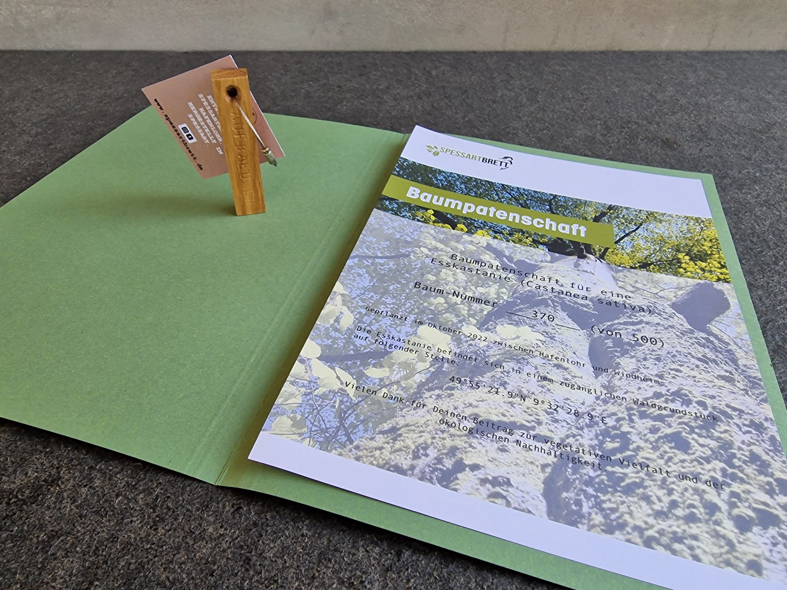 Baumpatenschaft Urkunden in einer Mappe. Mit einem Eiche Schlüsselanhänger mit Drahtseil. 