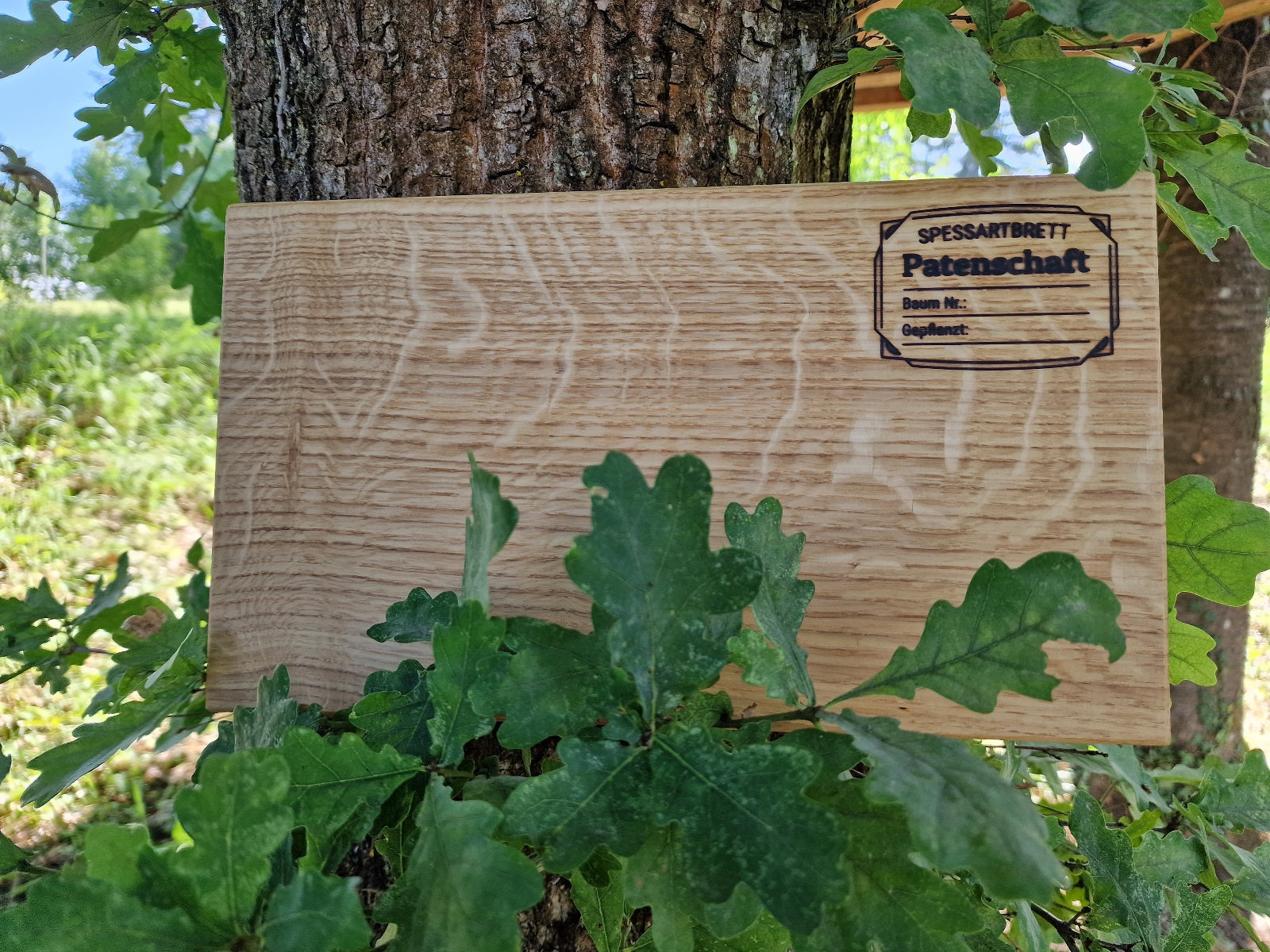 Baumpatenschaft im Spessart Holzbrett mit Baumnummer und Pflanzdatum im Wald dekoriert.