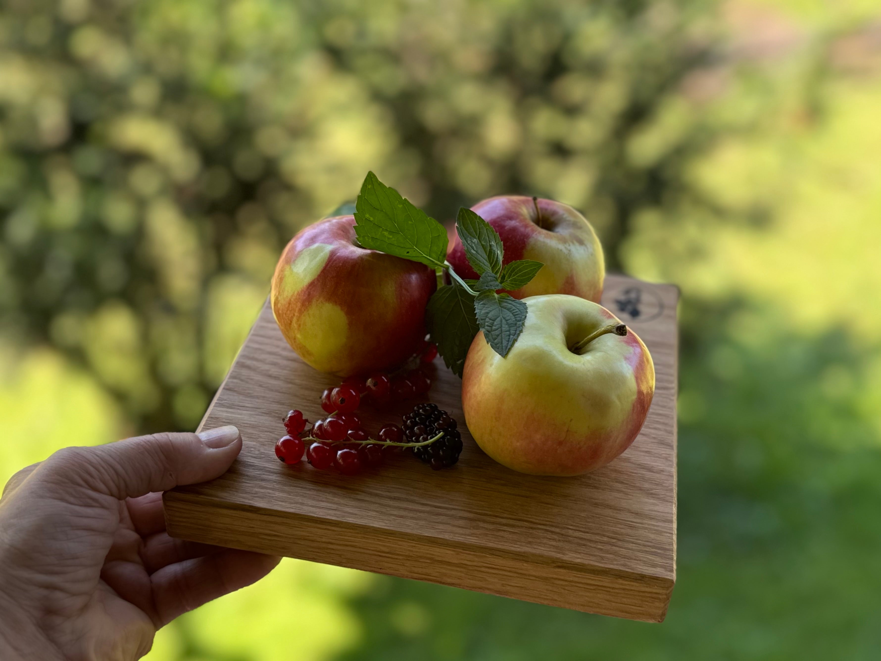 Hand hält ein Eichenbrett mit 3 Äpfeln und Johannisbeeren dekoriert.