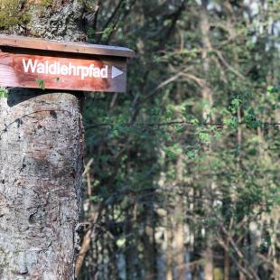 Waldlehrpfad in Berg Rothenfels im Spessart