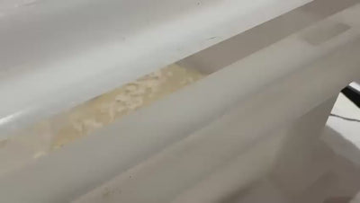 Kurzfilm einer Pizzaballenbox mit Pizzateig.
