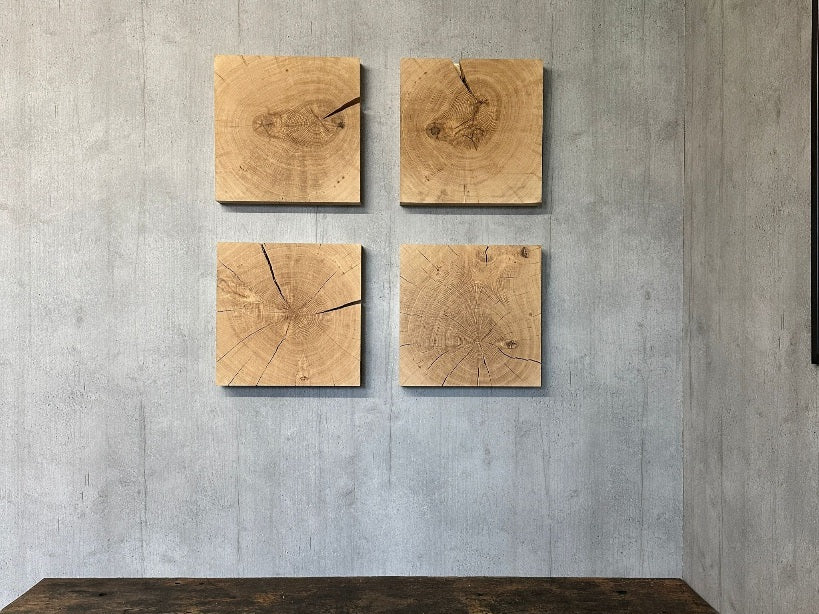 4 wunderschöne Eichen Holzbilder mit Jahresringen im Quadrat an einer Betonwand dekoriert.